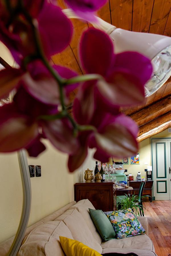 Bed and Breakfast Ca D'I. Magliano Alfieri Екстер'єр фото